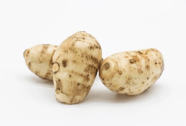 Wholesome and pesticide-free Arbi from sustainable farms—freshly harvested and full of natural goodness.