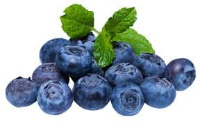 Glossy organic blueberries in a ceramic bowl, fresh and rich in natural color and nutrients.