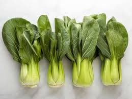 Crisp and clean organic bok choy with white stalks and green tops laid on a wooden board—exotic Asian green harvested fresh