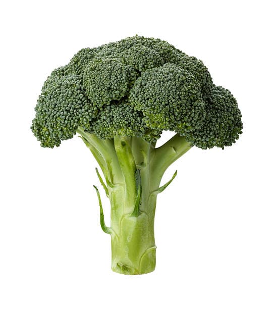 Wholesome and pesticide-free Broccoli from sustainable farms—freshly harvested and full of natural goodness.