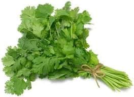 Naturally grown Kothimbir, rich in nutrients and cultivated using sustainable, chemical-free farming methods.