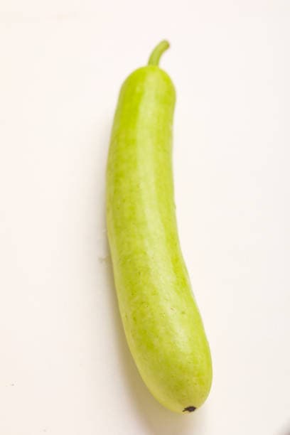 Carefully nurtured Dudhi from our organic fields—fresh, healthy, and perfect for your everyday meals.