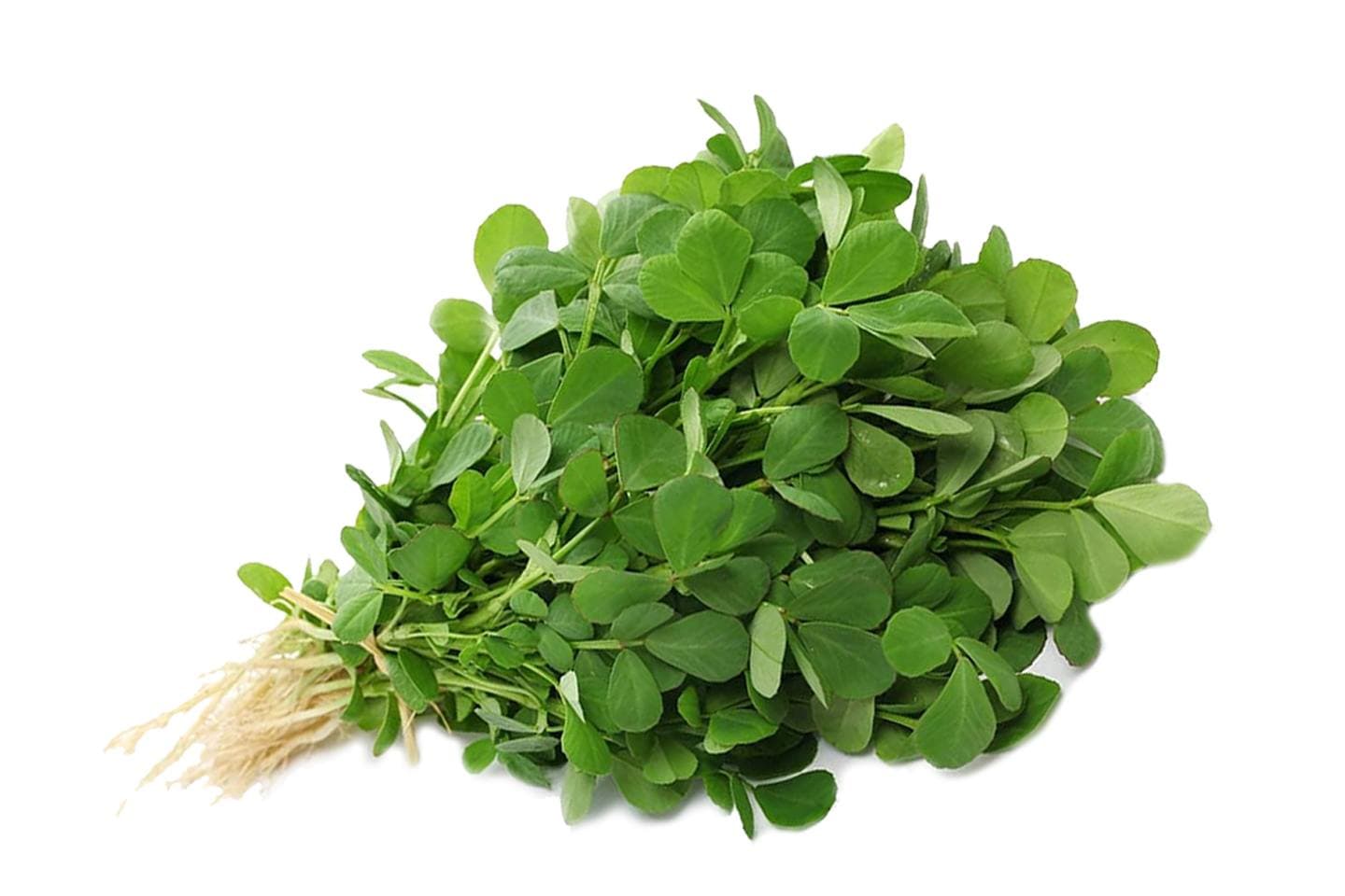 Wholesome and pesticide-free Methi from sustainable farms—freshly harvested and full of natural goodness.