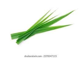 Freshly harvested organic lemongrass stalks (chai leaves) arranged on a tray, ideal for making herbal tea, soups, or natural home remedies.