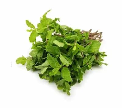 Phudina grown under close supervision in pesticide-free soil—rich in flavor and ideal for conscious eating.