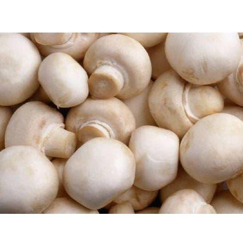 Wholesome and pesticide-free Mushroom from sustainable farms—freshly harvested and full of natural goodness.
