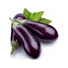 Glossy organic ravaiya baingan (baby brinjal) with rich purple skin, hand-harvested and arranged on a rustic cloth for traditional Indian cooking.