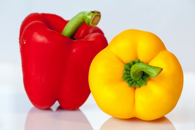 Home-grown Red & Yellow Bell Peppers or red and yellow Capsicum harvested at peak ripeness—pure, nutritious, and free from harmful chemicals.