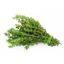 Delicate organic thyme sprigs with tiny green leaves on a white plate—fresh, exotic, and perfect for flavoring gourmet cuisine.